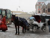 Поездка в Санкт-Петербург Самостоятельно